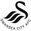 Суонси Сити